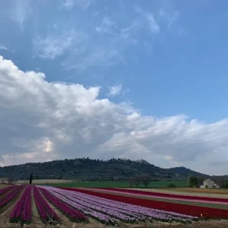 Petite Maison De Charme En Luberon *