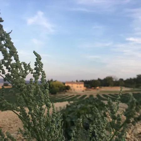 Petite Maison De Charme En Luberon *